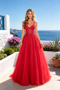 V-Neck Spaghetti Strap Lace Corset Prom Dress, Floral Appliqué Tulle Ball Gown 275
